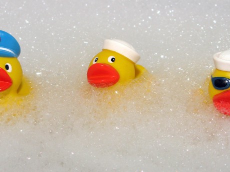 Ente.jpg
