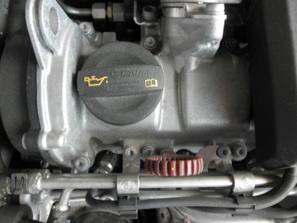 Torx 001.JPG