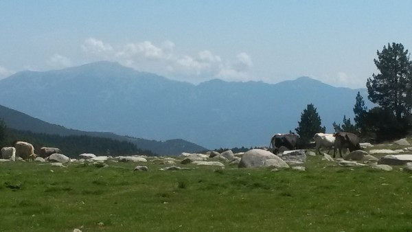 20150812_141818.jpg