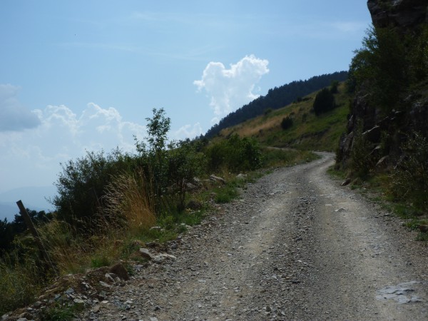 20150812_165705.JPG
