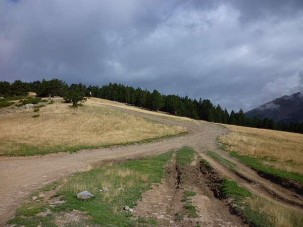 20150812_165706.JPG
