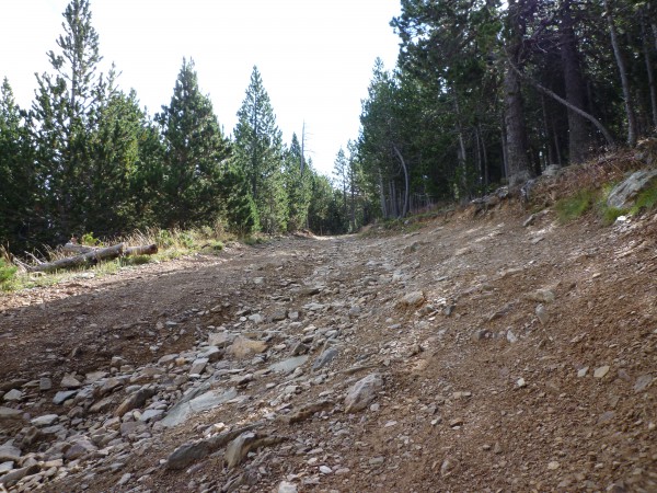 20150812_165810.JPG