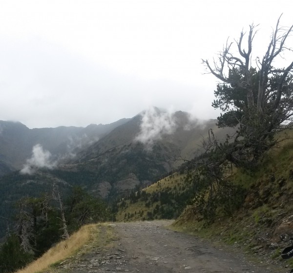20150815_101124.jpg