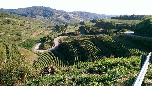 Kaiserstuhl bei kaiserlichen 27℃