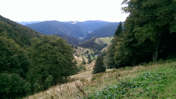Schauinsland