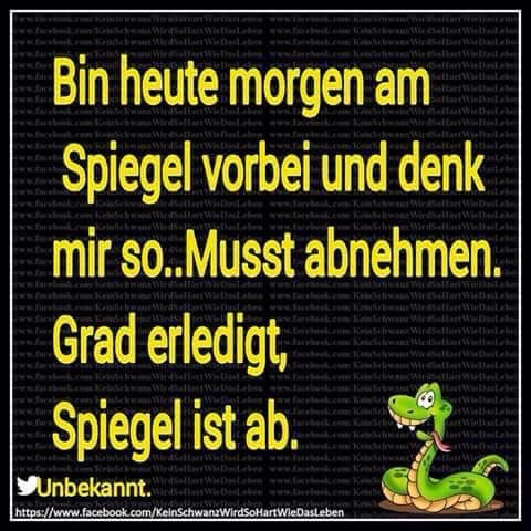 Dem ist nichts mehr hinzuzufügen!