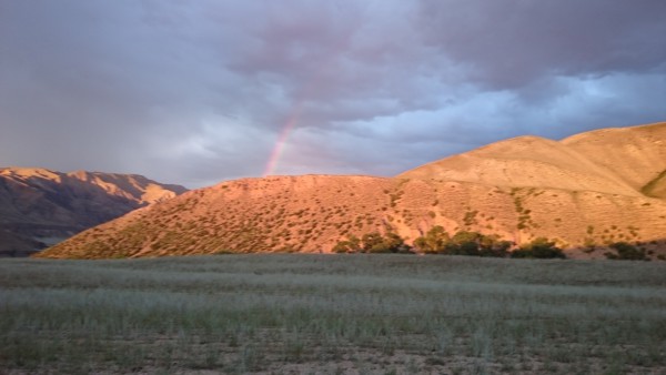 DSC_0166.JPG