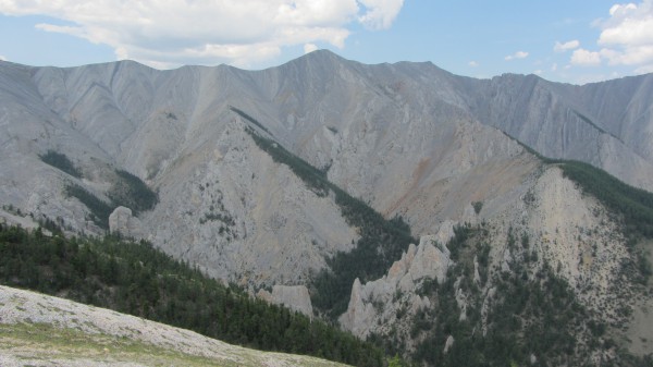 IMG_2317.JPG