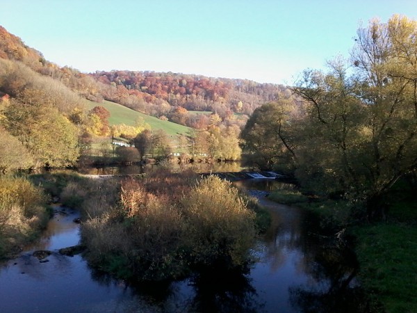 Foto0009.jpg