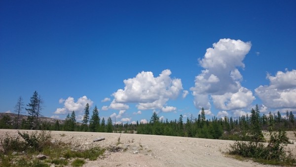 DSC_0230.JPG