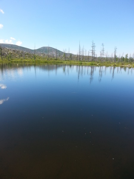 20150807_122528.jpg