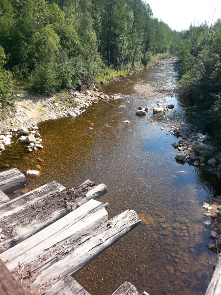 20150808_111742.jpg