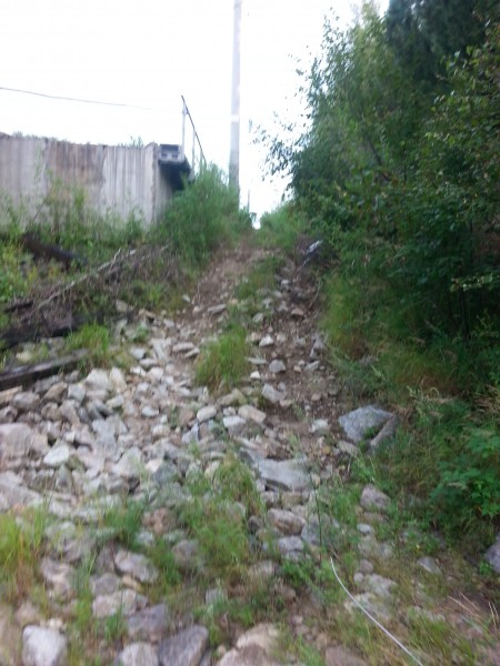 20150808_155009.jpg