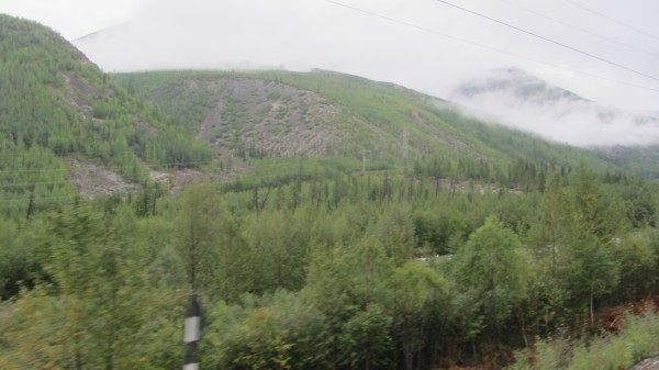 IMG_2738.JPG
