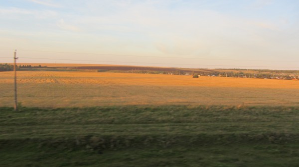 IMG_2894.JPG