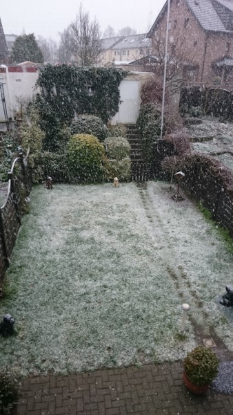 DSC_0034.JPG (418.31 KiB) 14037 mal betrachtet ....nur nicht hier!!!