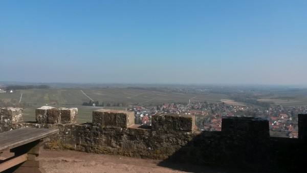 20160317_130954.jpg