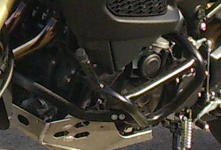 DSC_0169-Detail.jpg