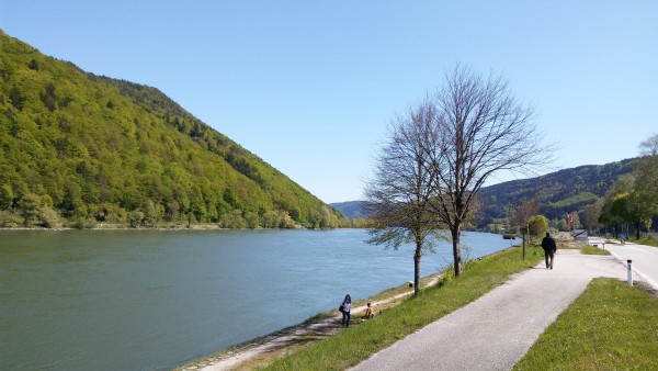 20160430_150344.jpg