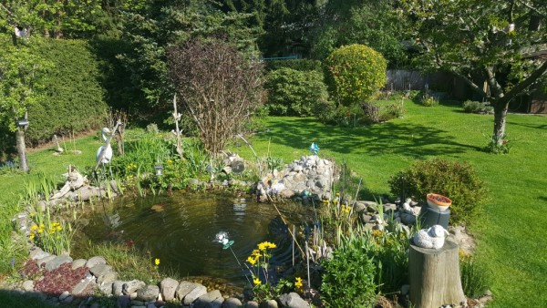 Teich1.jpg