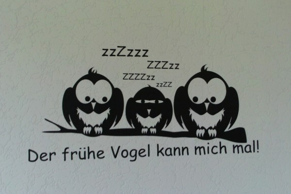Vogel.JPG