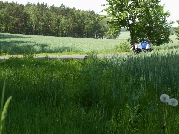tolle Landschaften laden zum Rasten und Seele baumeln lassen ein...
