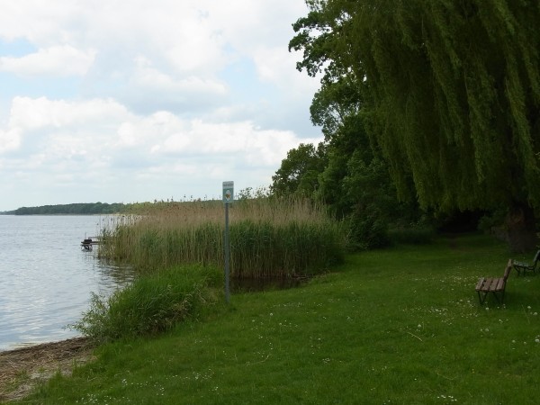 Uferpanorama am Schwielochsee...