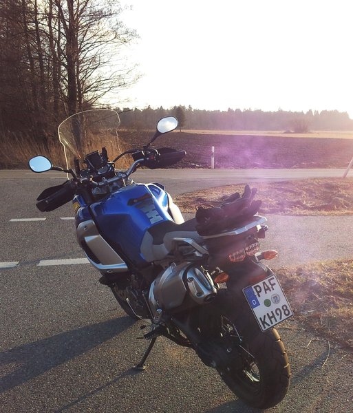 Meine Dicke in der Abendsonne