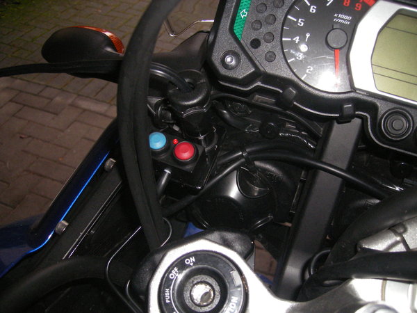 IMGP2911.JPG