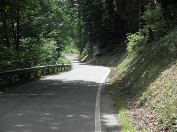 Eifel 2.jpg