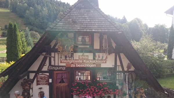 tmp_8436-DSC_00802069534840.JPG