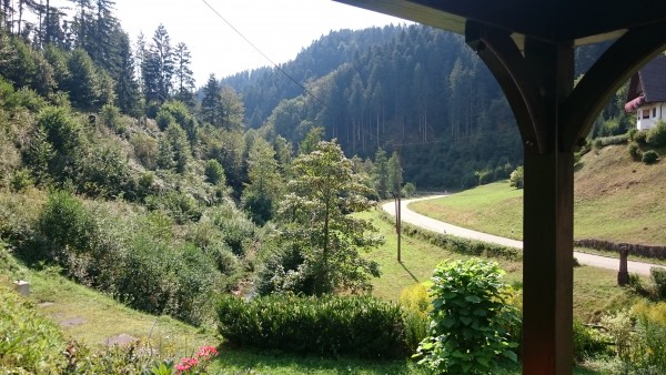 tmp_8436-DSC_0082230150339.JPG (257.39 KiB) 3745 mal betrachtet Kurz vorm Hotel, etwa 60 km