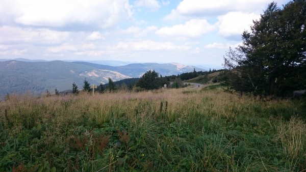 tmp_7299-DSC_0088-719254600.JPG