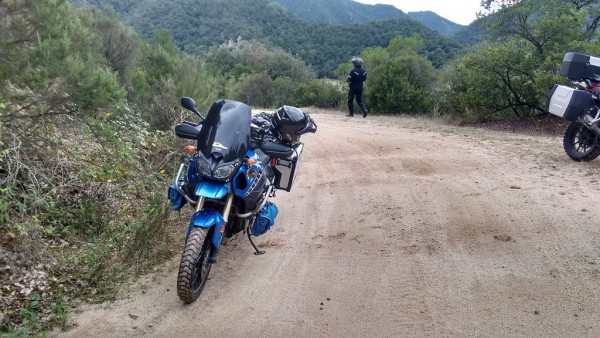 Panta de Susqueda1.jpg