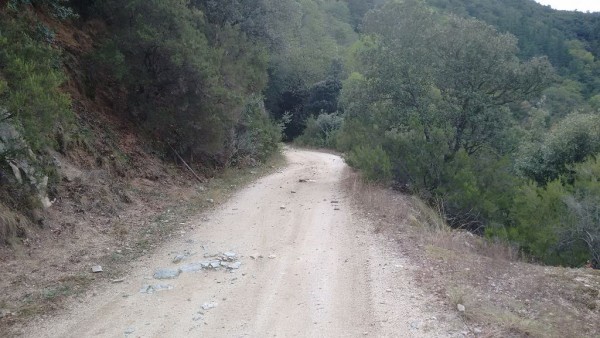 Panta de Susqueda6.jpg