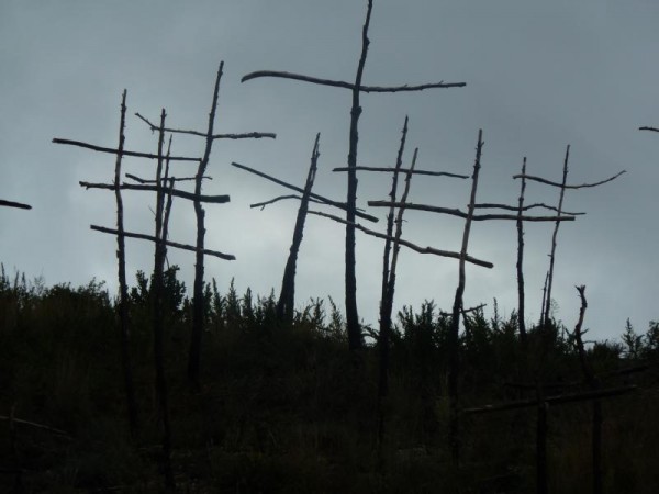 37.Gruselig.JPG