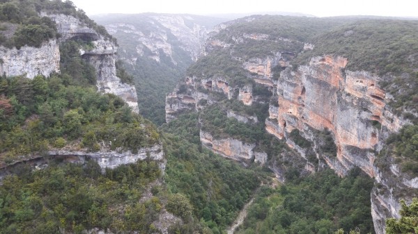 tmp_16233-20170604_154603_resized_11814222765.jpg (339.6 KiB) 4081 mal betrachtet de Guara