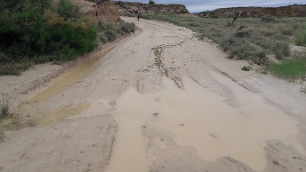 tmp_16233-20170604_100423_resized1499121283.jpg (189.05 KiB) 4081 mal betrachtet und so war der Weg mittendrin, nicht grad perfekt für unsere PST II