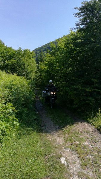 IMG-20170628-WA0005.jpg
