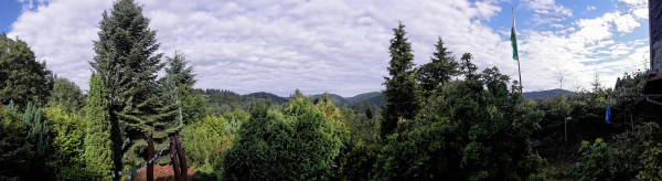 2017-07-02 15.03.06.jpg