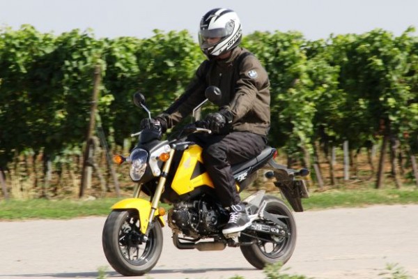 honda-msx125-02-3157290.jpg
