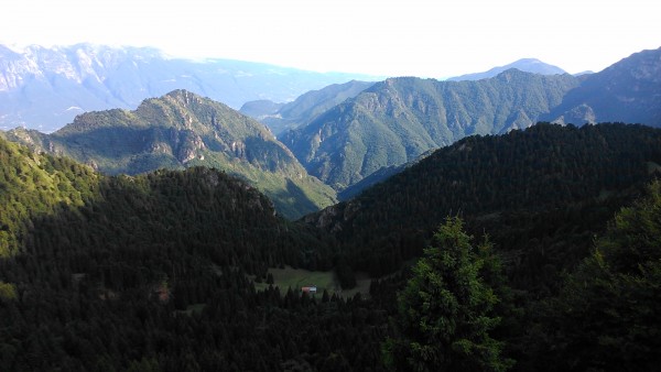 DSC_0052.jpg