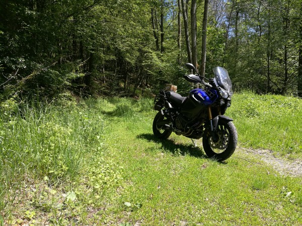 Irgendwo im Taunus