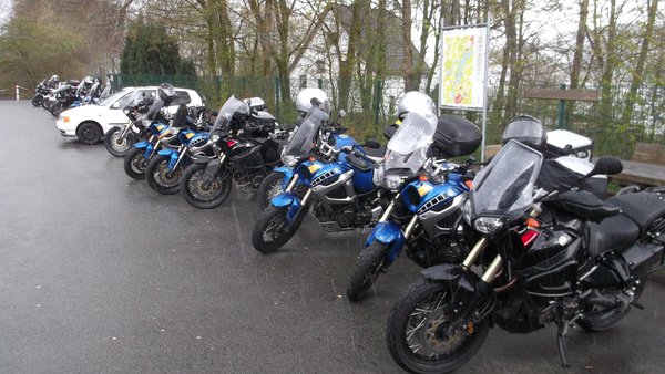 2012-04-22 017b.JPG (165.71 KiB) 6903 mal betrachtet Nur die Harten kommen in den Garten.