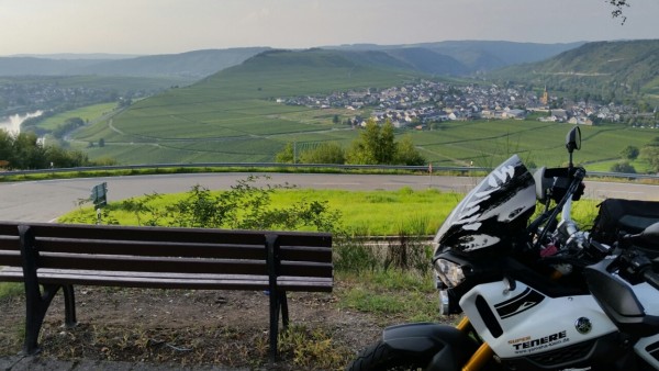 Trittenheim (Mosel)