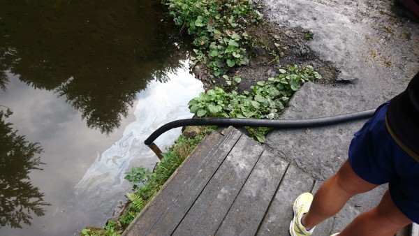 Das Saugrohr im Teich