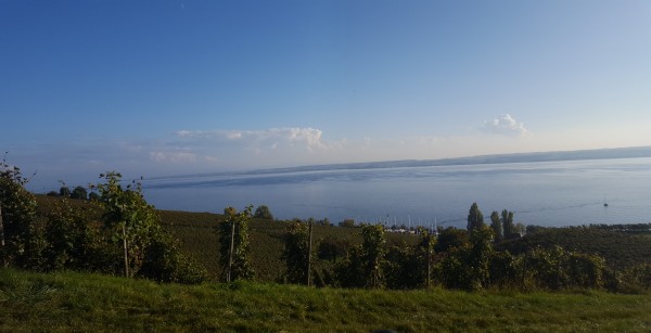 20170927_174039.jpg