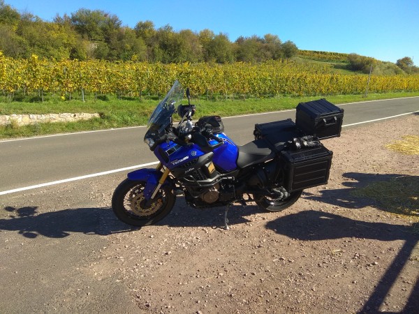 Rheinhessen oberhalb von Einzeltum