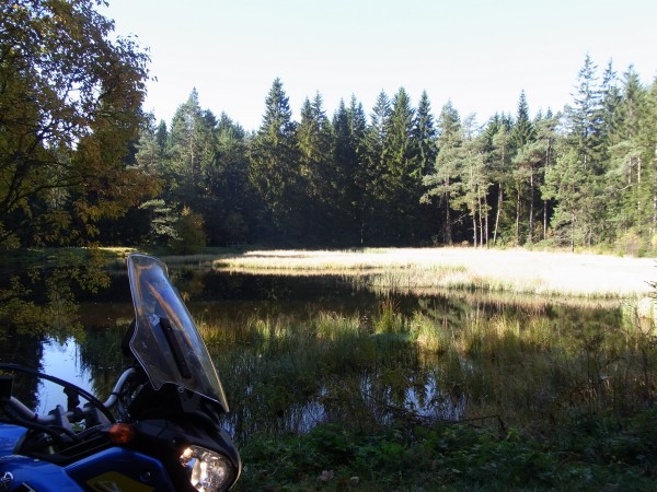 kleiner waldsee...