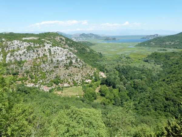 P1080003.JPG
